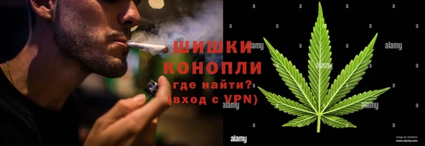 ешки Ладушкин
