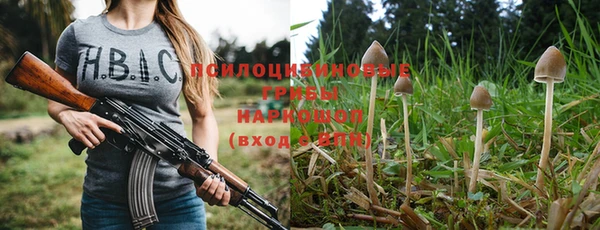 ешки Ладушкин