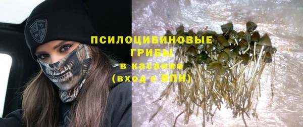 ешки Ладушкин