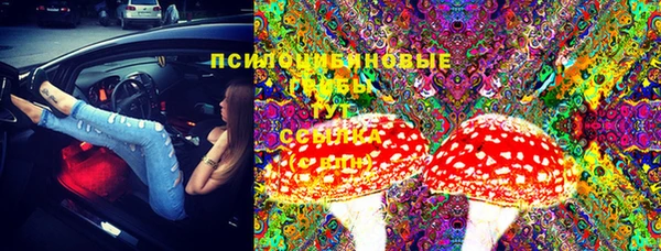 ешки Ладушкин