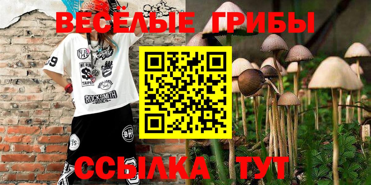 купить  сайты  Галлюциногенные грибы GOLDEN TEACHER  Вход с VPN  Усть-Кут 