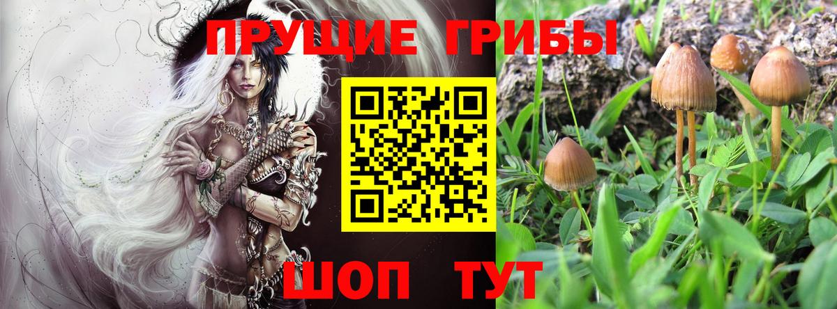 Галлюциногенные грибы мухоморы Усть-Кут