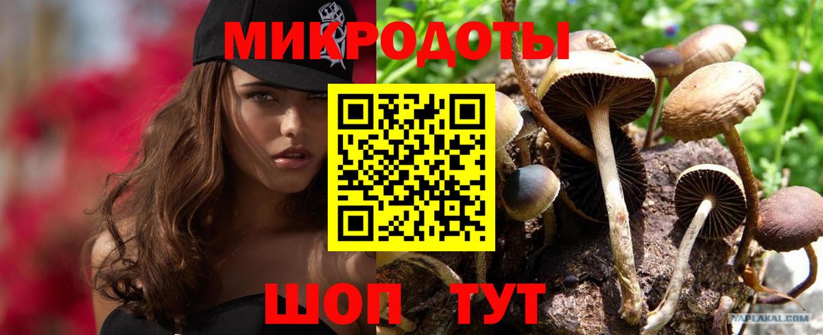 Галлюциногенные грибы Cubensis Усть-Кут